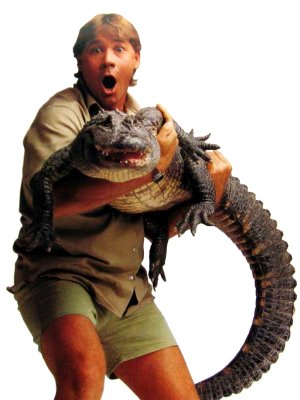 steve-irwin steve-irwin