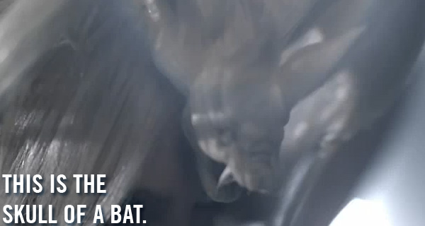batskull