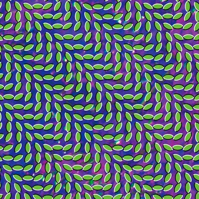 Animal_collective_merriweather Animal_collective_merriweather