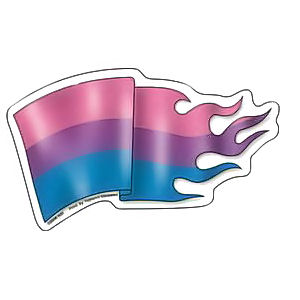 bisexual flag The Bisexual Flag... for real!