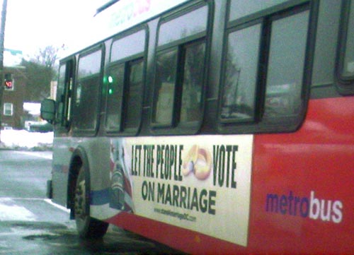 bus bus