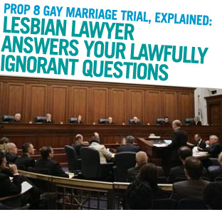 Prop 8 Gay Marriage Trial, Explained: Lez Legal Eagle Answers Your Lawfully Ignorant Questions