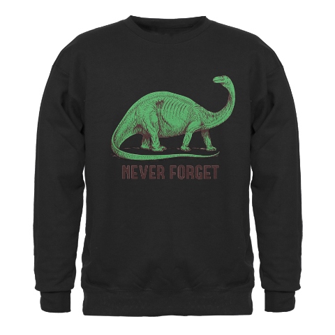 IMAGE 9--DINOSAUR SWEATSHIRT