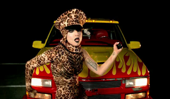 cheetah