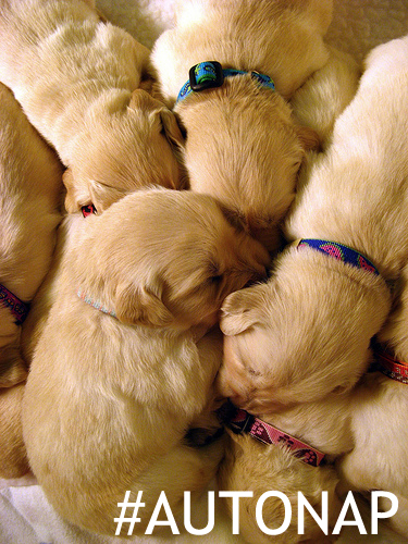 PUPPIES