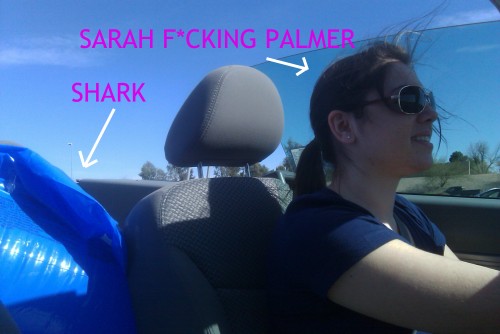 SARAHSHARK
