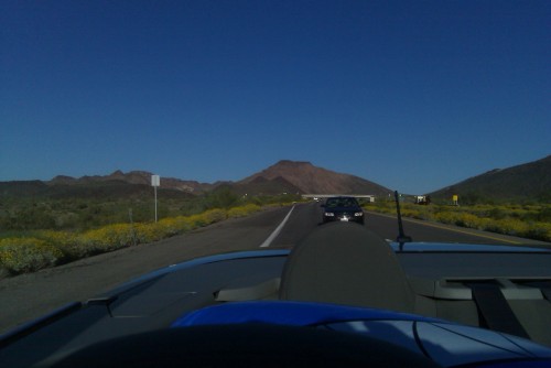 leavinglasvegas