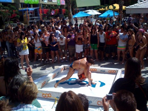 photo(2)