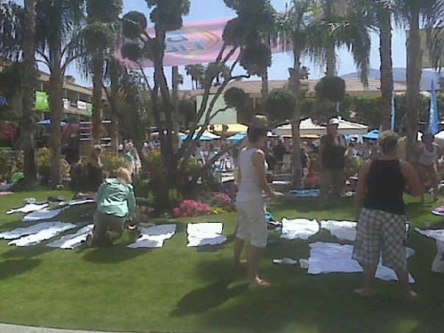 picnic