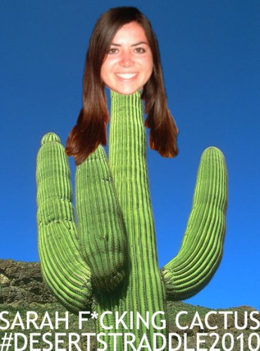 sarahcactus