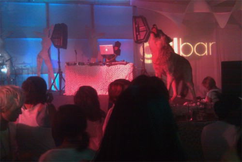 wolf