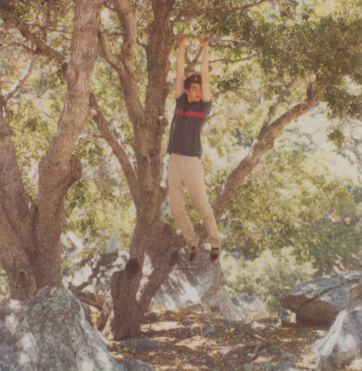 Picture 7
