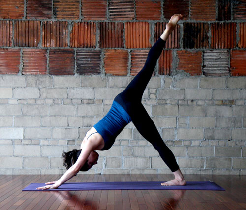 downward_dog