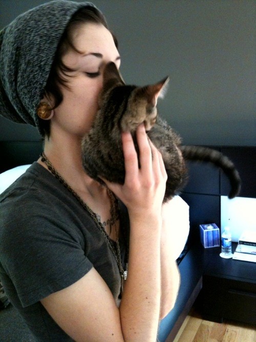 ohcardigan kitten