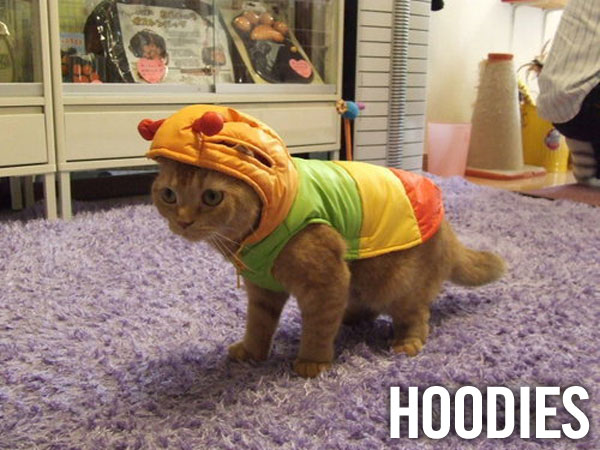 Look at That F*cking Stuff Lesbian Kittens Like