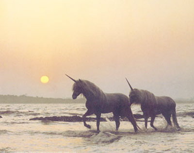 unicorns ocean