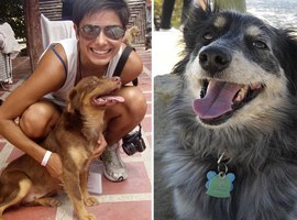 Help Find Nat Garcia’s Missing Dogs! (UPDATE: One puppy is home!)