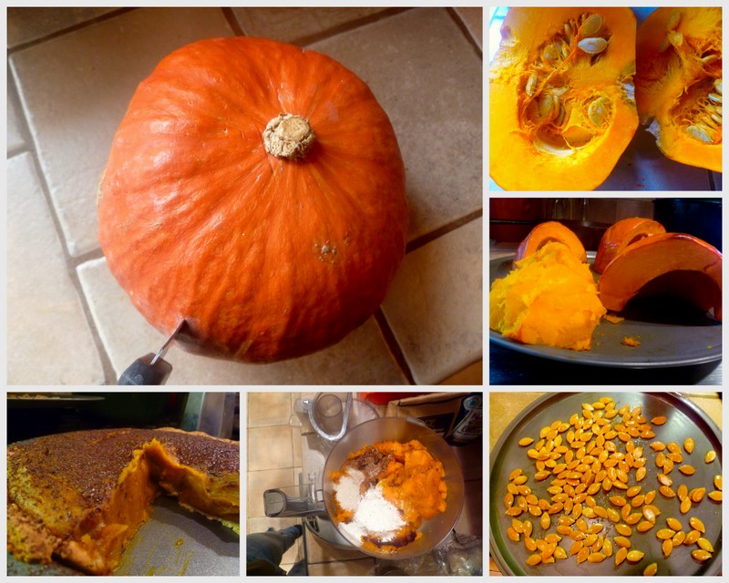 pumpkin pie