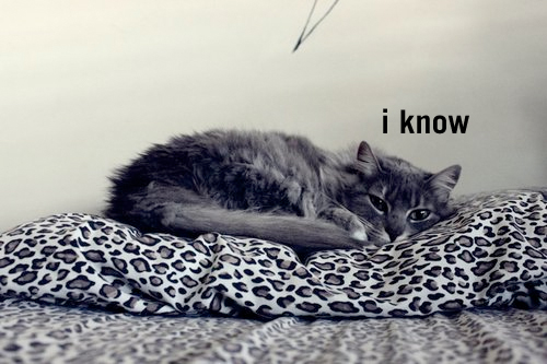 iknowbed