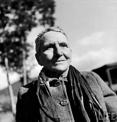 gertrude stein