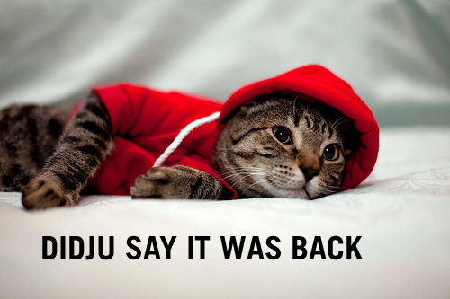 OPEN THREAD: What Did You Do Without Autostraddle?