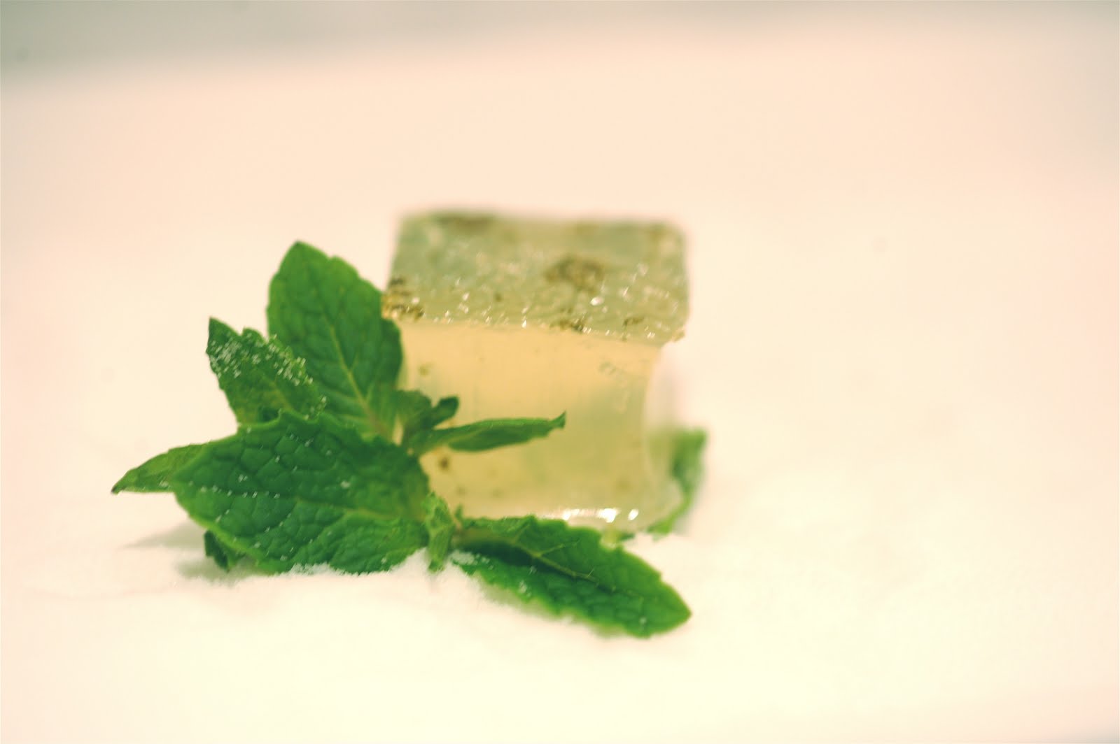 Katrina’s Team Pick: Jelly Shot Test Kitchen