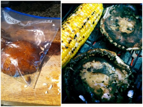mushroom collage