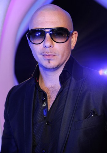 pitbull