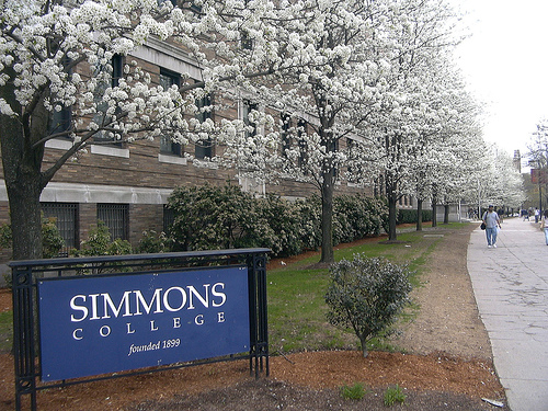 simmons