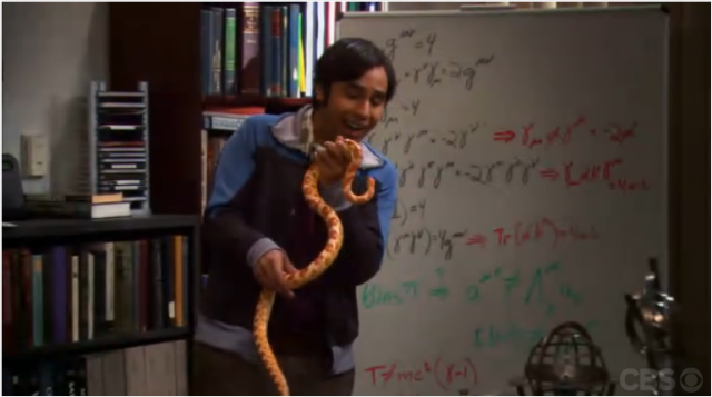 bb_raj_snake