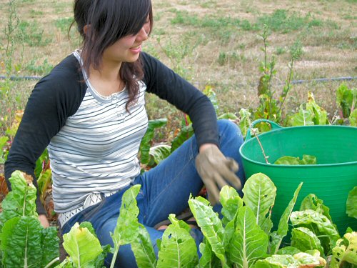 girl-farming