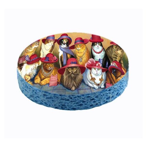 Red Hat Cat Sponge
