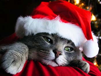 Holigay Gift Guide: Secret Santa 101, The Art of Anonymous Gifting