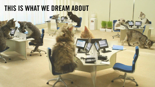 dream-about-office