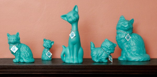 Get a Cat, Save a Cat With The Teal Cat Project