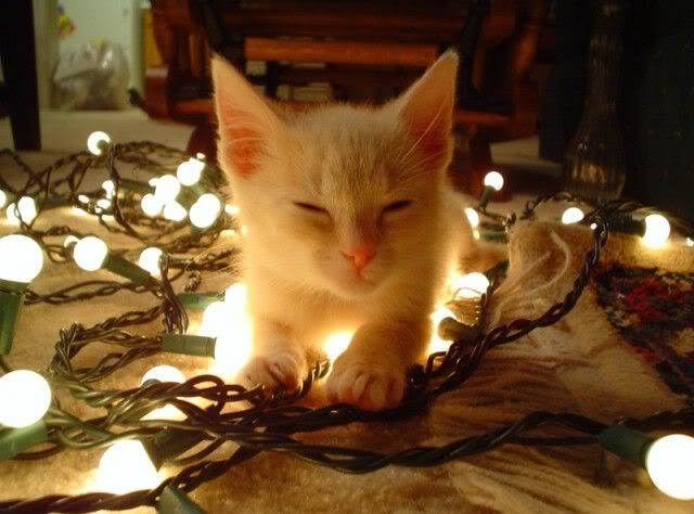 Christmakwanzakah Open Thread: Well, Happy Holigays Bitches