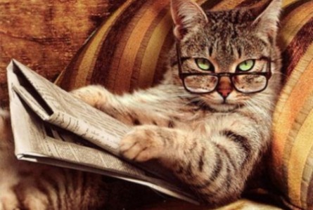 Arkansas Newspaper Rejects Gay Engagement Annoucement For Dumb Reason