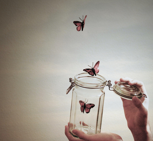 freedom
