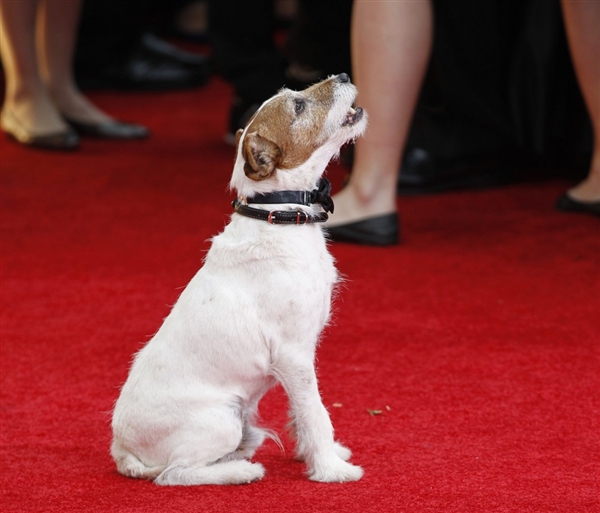 2012 Golden Globes Awards Liveblog: Girls In Long Dresses Who Drag With War Horses