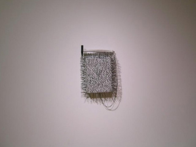 1247014491-dscn9528