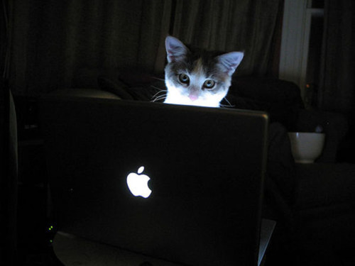 17 Things on My Computer That You Need Too