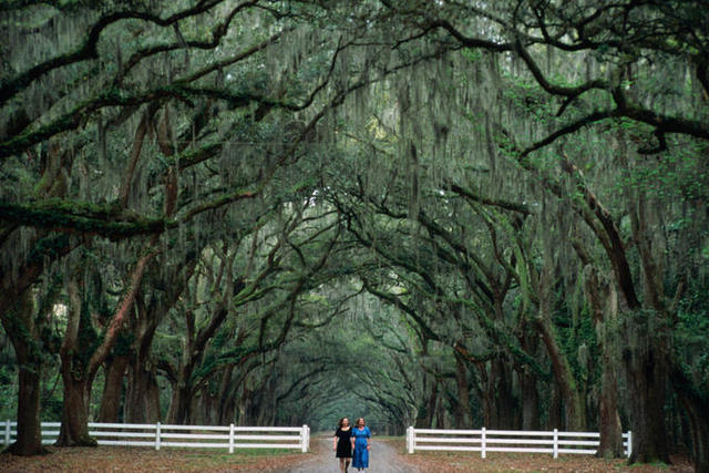 3SpanishMoss