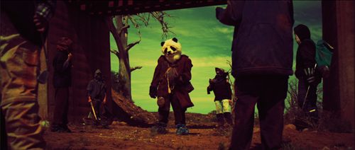 PandaPozible2