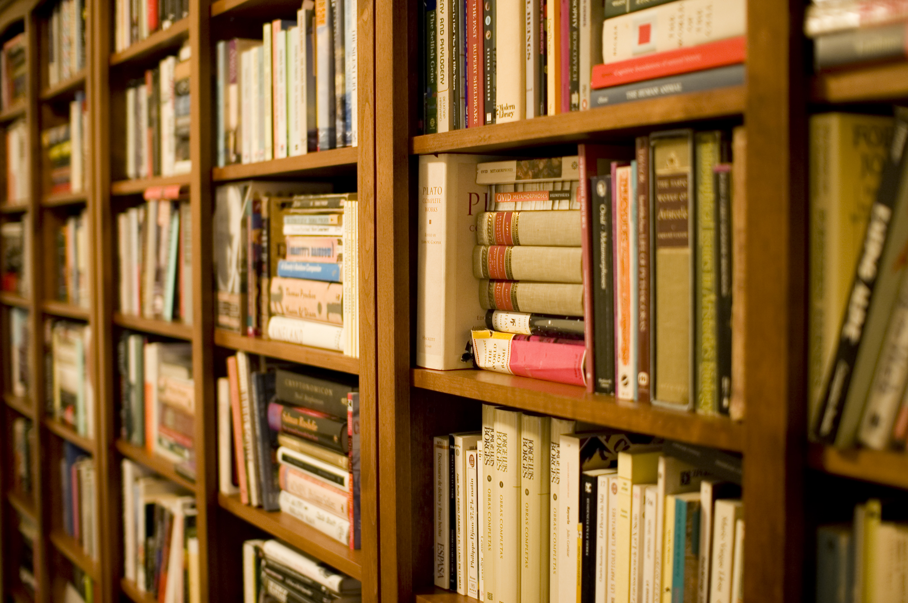 India’s Queer Literature Persists Despite Political Controversy Over Gays