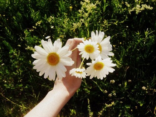 tumblr_lzo80ynM7v1qalbbco1_500