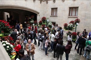 palau1