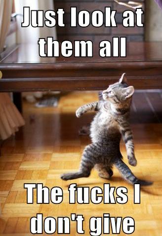 kittydontcare
