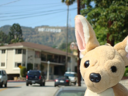 tinkgoestohollwood_may