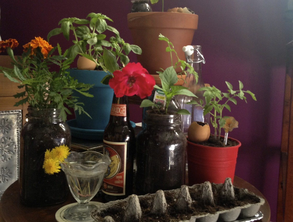 A Custom Fit: Container Gardening