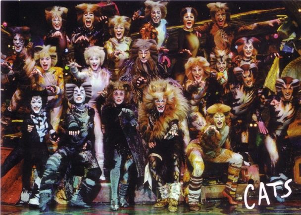 cats